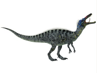 Suchomimus beyaz
