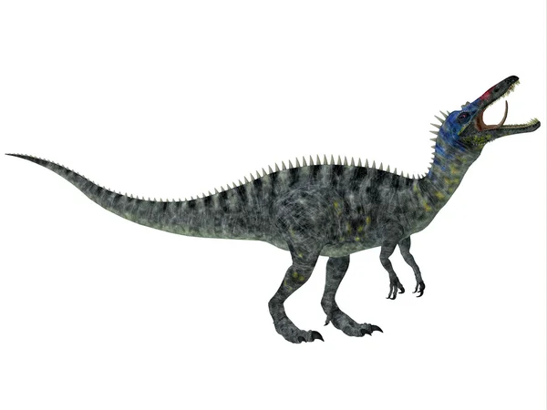 Suchomimus beyaz — Stok fotoğraf