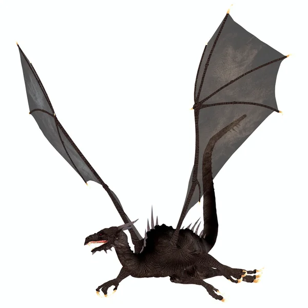 Black Dragon — Stock Photo, Image