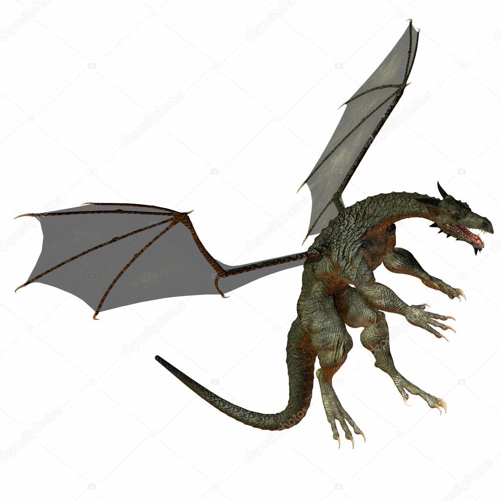 dragon grijs