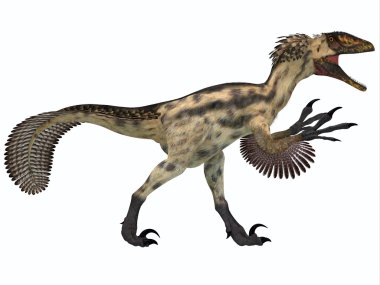 Beyaz deinonychus