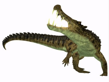 Beyaz kaprosuchus
