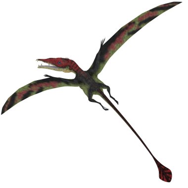 Beyaz eudimorphodon
