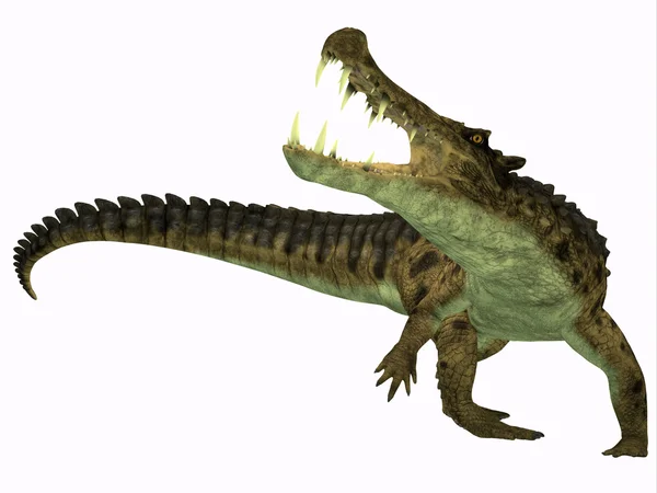 Kaprosuchus on White — Stock Photo, Image