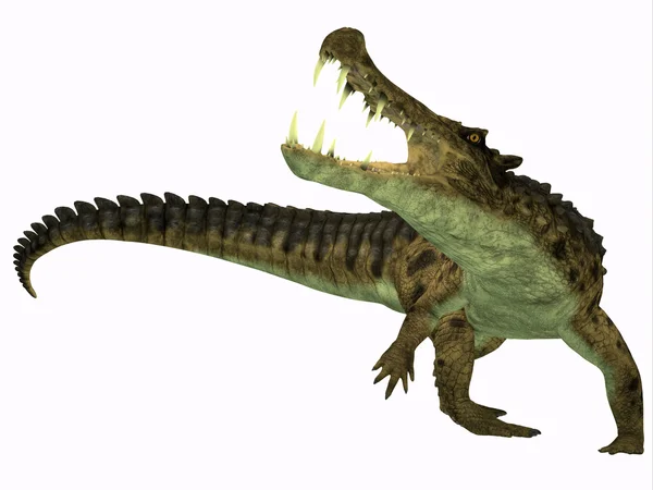 Kaprosuchus em Branco — Fotografia de Stock