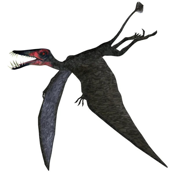Dorygnathus ptérosaure sur blanc — Photo