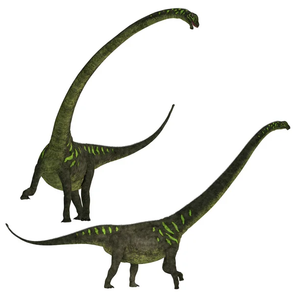Mamenchisaurus youngi — Stock fotografie