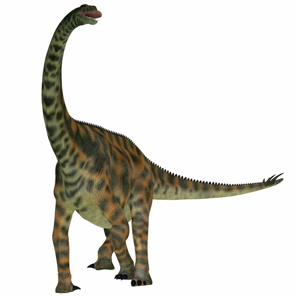 Spinophorosaurus em Branco — Fotografia de Stock