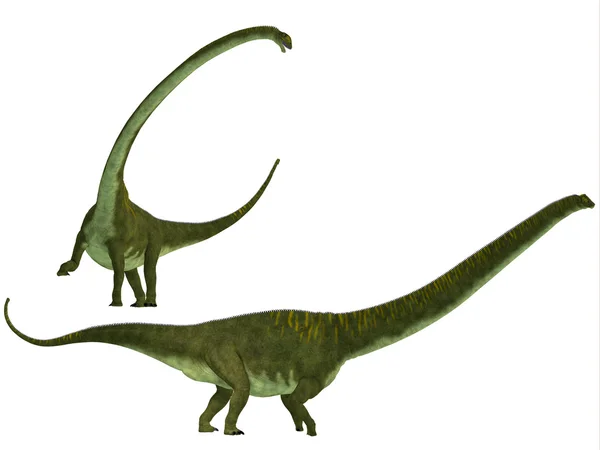 Mamenchisaurus hochuanensis — 스톡 사진