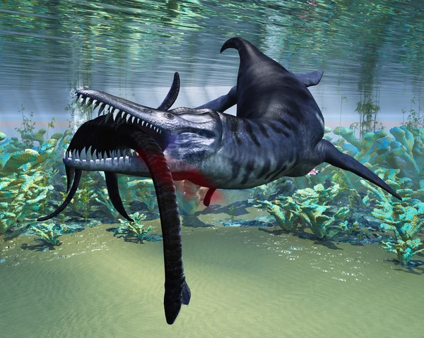Лиоплеуродон атакует плезиозавра — стоковое фото
