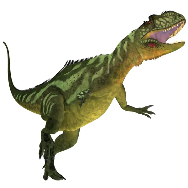 Yangchuanosaurus på vit — Stockfoto