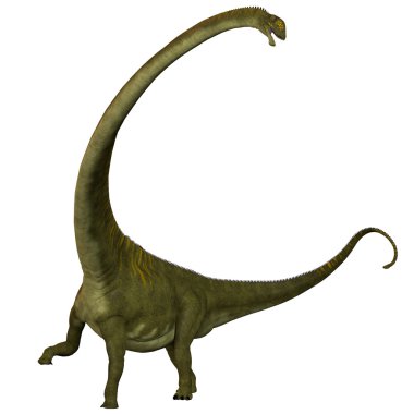 Mamenchisaurus hochuanensis beyaz