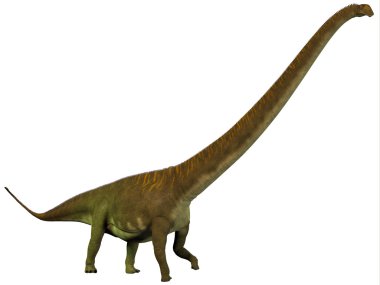 Mamenchisaurus hochuanensis profili