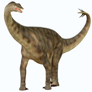 Spinophorosaurus üzerinde beyaz