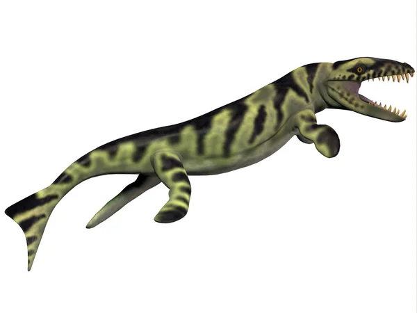 Perfil de Dakosaurus — Fotografia de Stock