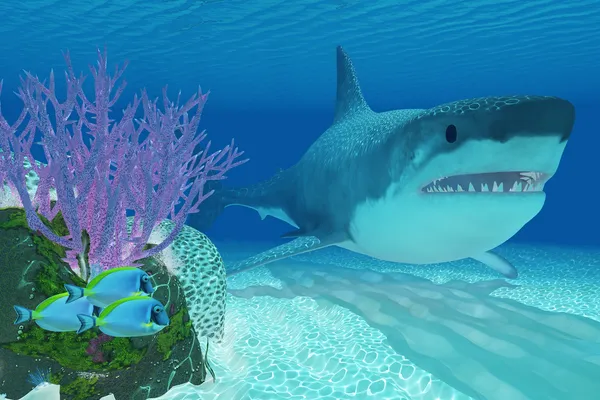 Доисторическая акула-мегалодон — стоковое фото