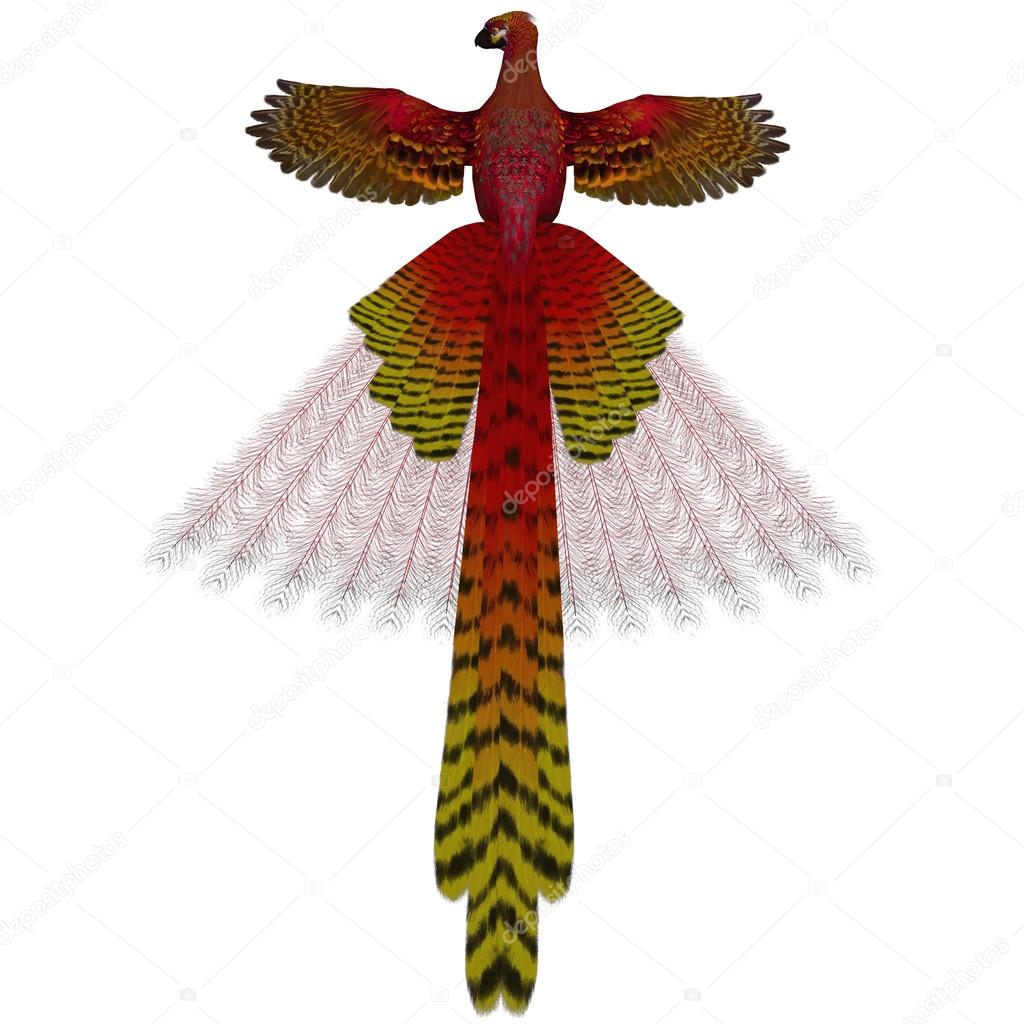 Phoenix Firebird