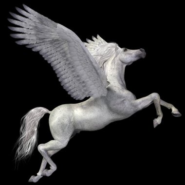 Beyaz pegasus profili