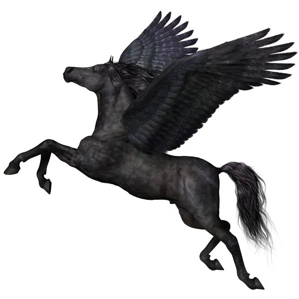 Perfil de Black Pegasus — Fotografia de Stock