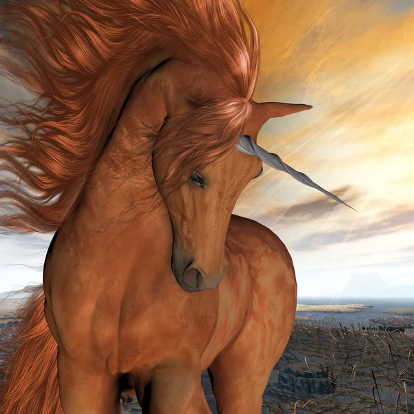 Brända sky unicorn — Stockfoto