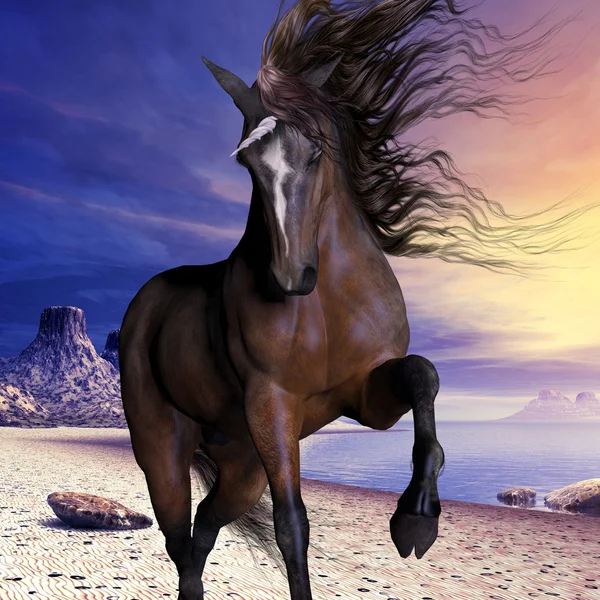 Mahogony Bay Unicorn — Stockfoto