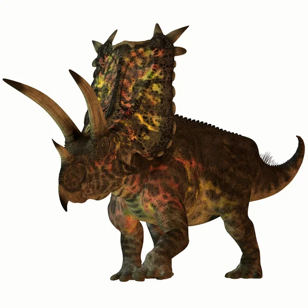白色衬底上的 pentaceratops — 图库照片