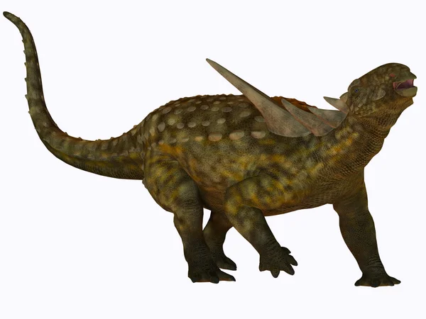 화이트 sauropelta — 스톡 사진