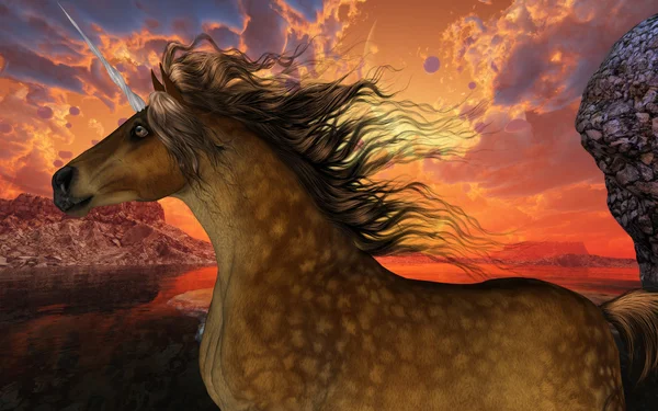 Unicorn Sunset — Stock Photo, Image