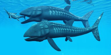 leedsichthys Okyanus balık