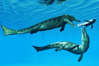 metriorhynchus suda yaşayan sürüngenler