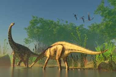 Bataklık spinophorosaurus