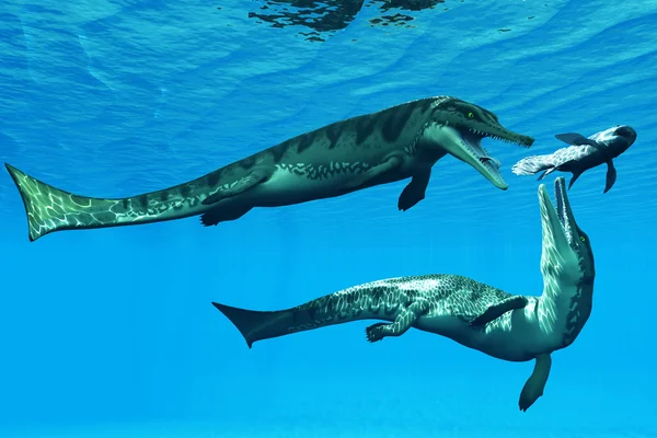 Metriorhynchus suda yaşayan sürüngenler — Stok fotoğraf