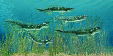 Devonian Orthacanthus Sharks clipart
