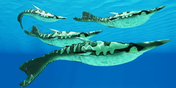 Grupo Devoniano de Pteraspis Fish — Fotografia de Stock