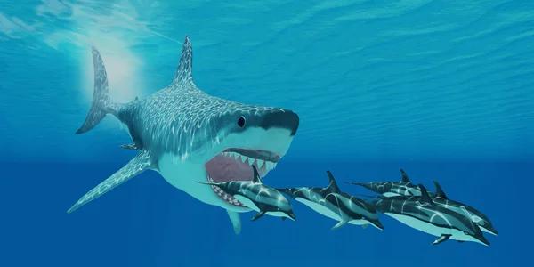 Megalodon Attack — Stock Photo, Image