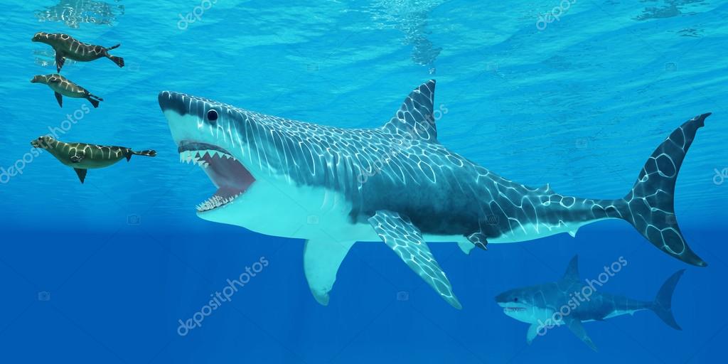 Megalodon Attacks A Seal Stock Photo Image By C Coreyford