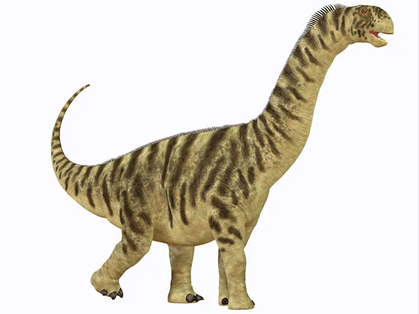 Camarasaurus mladistvých — Stock fotografie