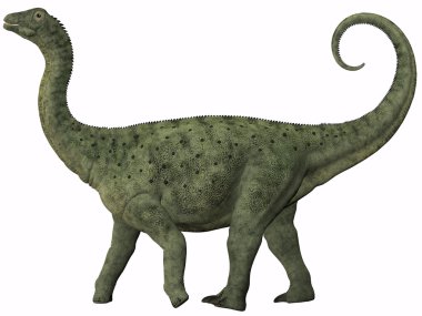 Saltasaurus çocuk