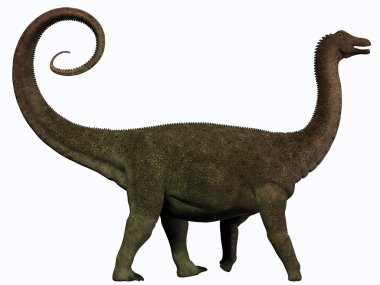 Saltasaurus profili