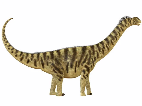 Perfil de Camarasaurus — Fotografia de Stock