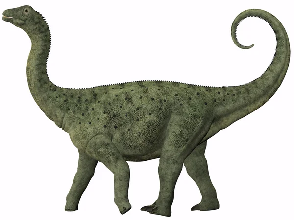 Saltasaurus mladistvé — Stock fotografie