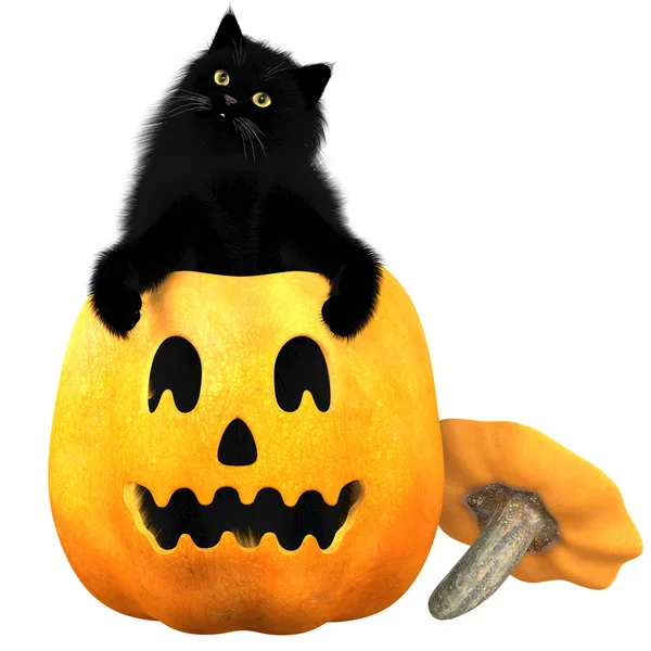 Schwarze Katze und Halloween — Stockfoto