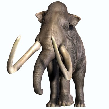 Columbian Mammoth Front Profile clipart