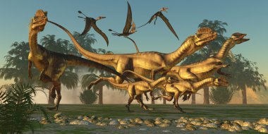 Dilophosaurus Hunt