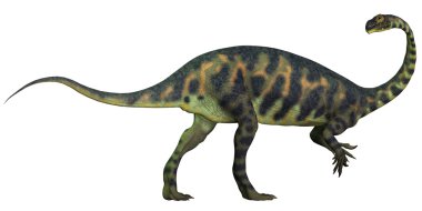 Massospondylus Profile clipart