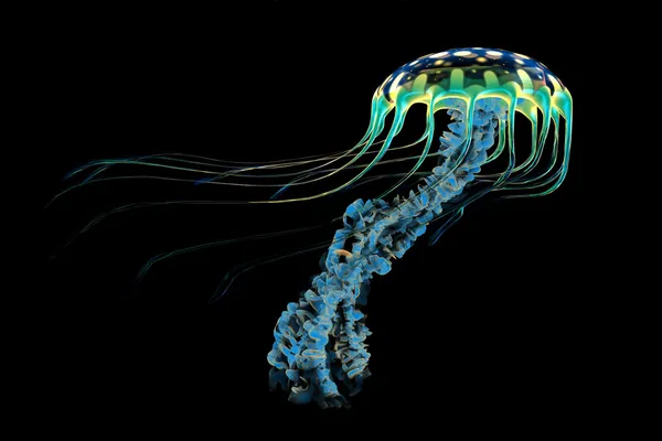 Blue Jellyfish — Stock Photo, Image