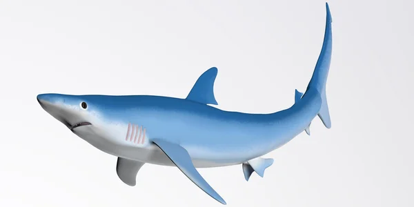 Perfil de tubarão azul — Fotografia de Stock
