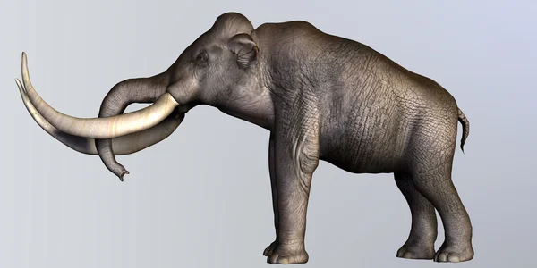 Profilo laterale dei mammut colombiani — Foto Stock