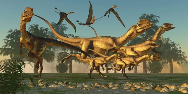 Dilophosaurus Hunt
