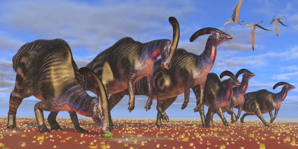 Mandria di Parasaurolophus — Foto Stock